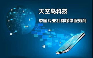 天空島科技 中國專業社群媒體服務商
